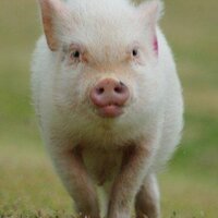 KITA (@kita__t) 's Twitter Profile Photo