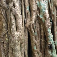 歪みっぱなしの帝国. (@ppdisundia) 's Twitter Profile Photo