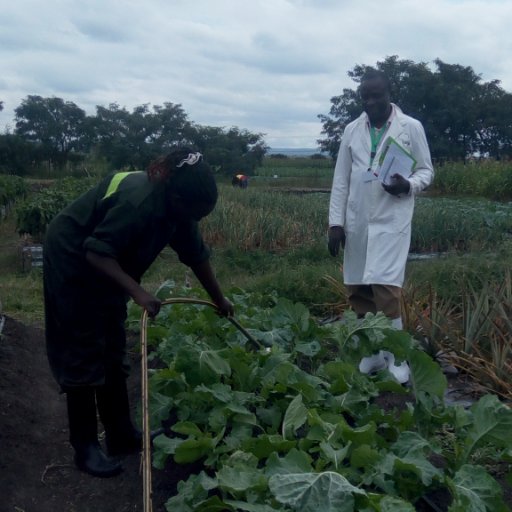 kukaonline's profile picture. Mathayo 6:33 Bali utafuteni kwanza ufalme wake, na haki yake; na hayo yote mtazidishiwa.