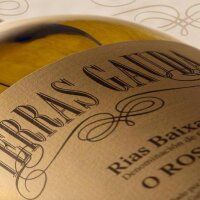 BODEGAS TERRAS GAUDA (@terrasgauda) 's Twitter Profile