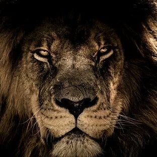 Mobarz3's profile picture. https://t.co/R95AsS24X9