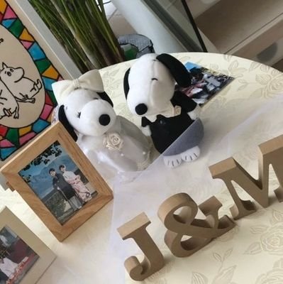 むく3yさんのプロフィール画像