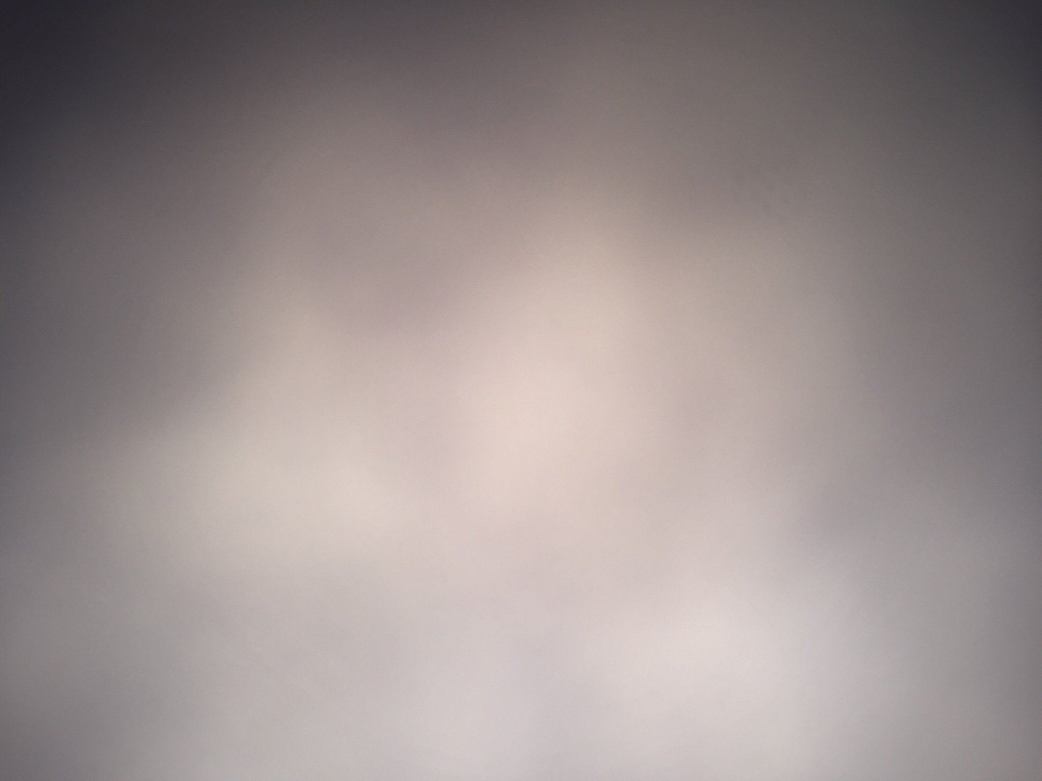 LaMiaTrkylmz's profile picture. 