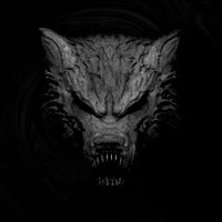 ๐ก X V V ร I D ๐ก (@xvvoid) 's Twitter Profile