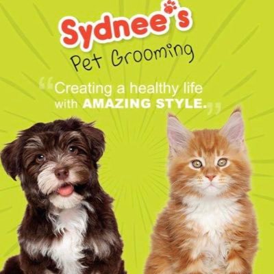 Bringing together creativity, compassion, and the love of dogs. What’s your style? Our P.A.C Foundation helping dogs live better lives. Protect. Act. Cure