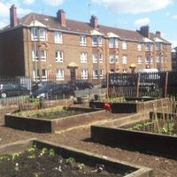 ShawlandsAcad_Garden (@shawlandsacadg) 's Twitter Profile Photo ShawlandsAcad_Garden (@shawlandsacadg) 's Twitter Profile Photo