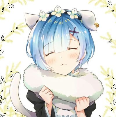 kokiさんのプロフィール画像