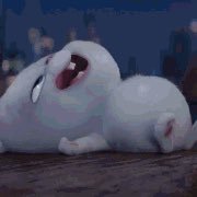 tsoutheas's profile picture. 在泉州