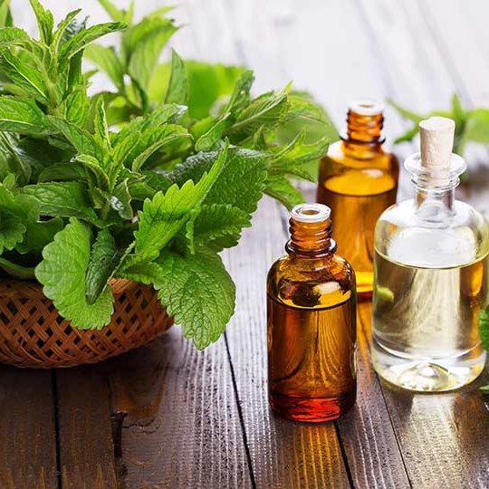 Essential oils, Ayurvedic Medicine, Herbal Extracts, and more Balancing the Body, Calming the Mind and Emotions while Discover your Divine True Self