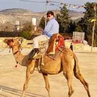 Brennan Wilcox (@wilcoxbrennan) Twitter profile photo