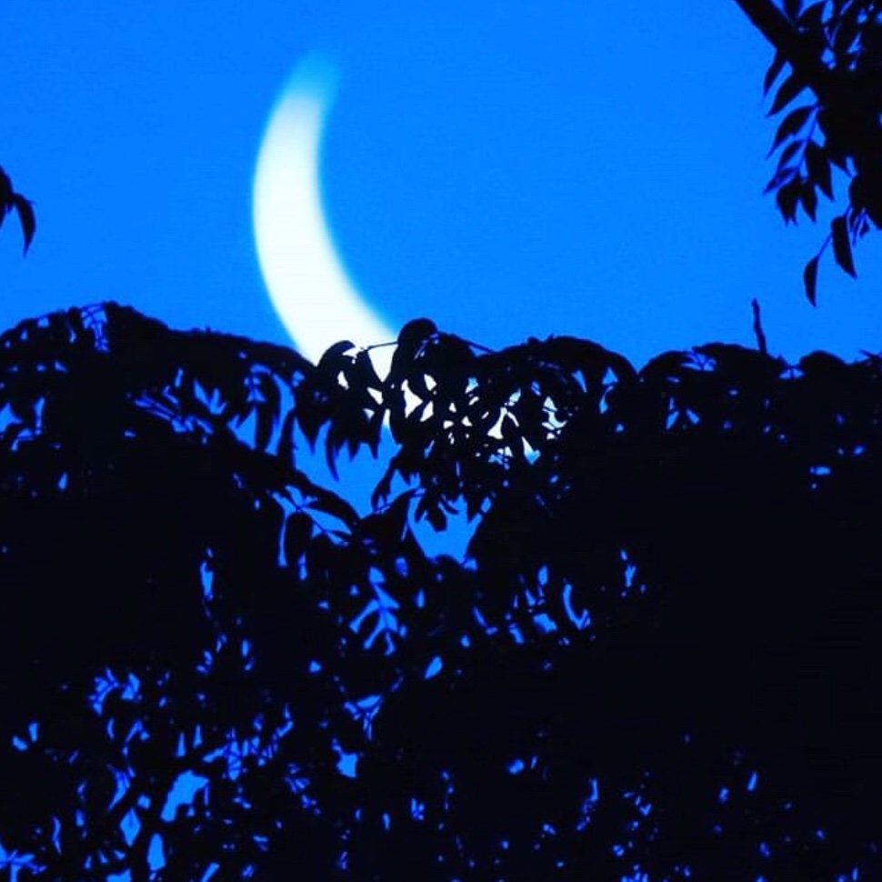 adanne_pena's profile picture. ❤️🧡💙💚