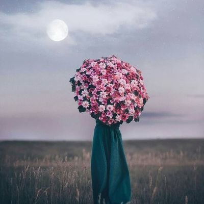 manevi_faide's profile picture. 