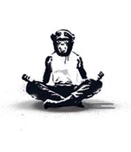 urbanyogamonkey's profile picture. Beth; (Urban Yoga Monkey) sharing yoga that inspires, deepens and stimulates greater awareness, love, trust and playfulness. https://t.co/BaXj0wAet1, and FB