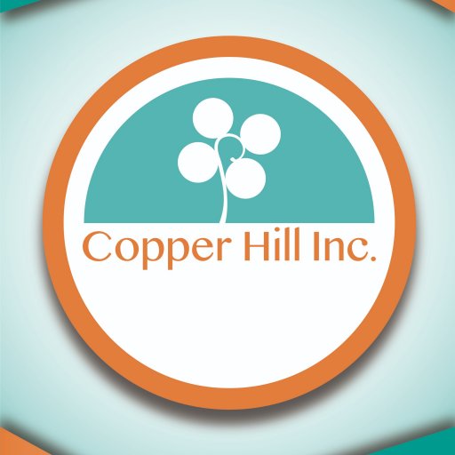 Your partner in achieving a high standard in customs compliance. Copper Hill Inc. offers a full suite of Customs Compliance services support to its customers.