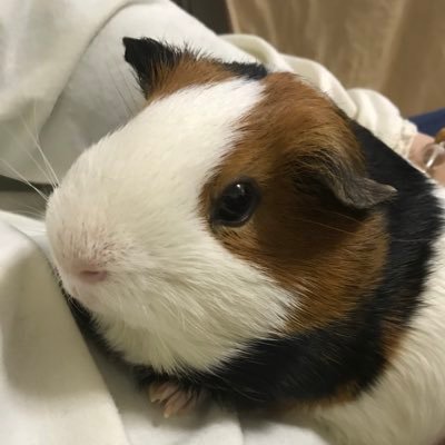 ☆もるりん☆のプロフィール写真