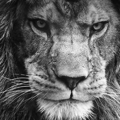 kk_254's profile picture. Rebranding...