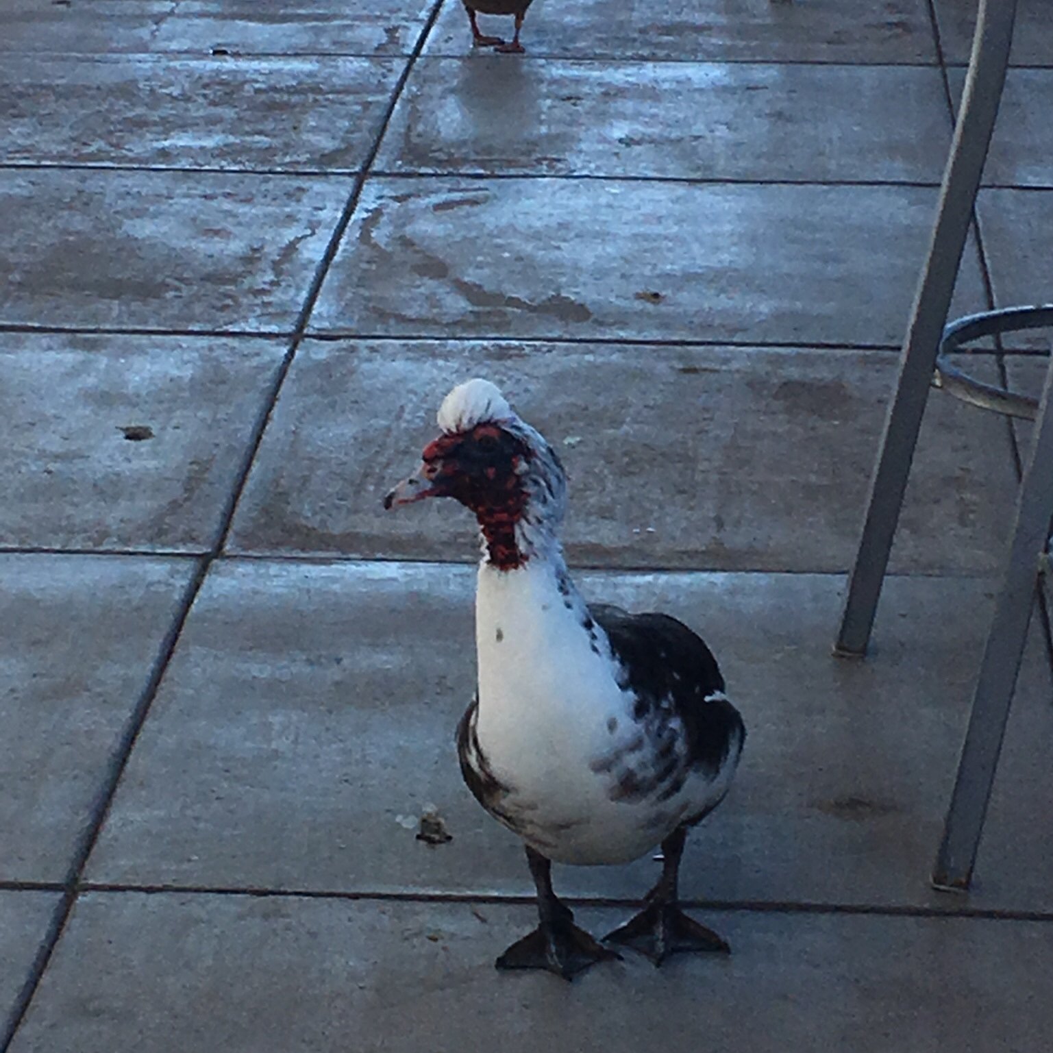 0hHiYa's profile picture. 