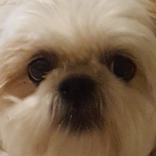 bodiford_j's profile picture. 