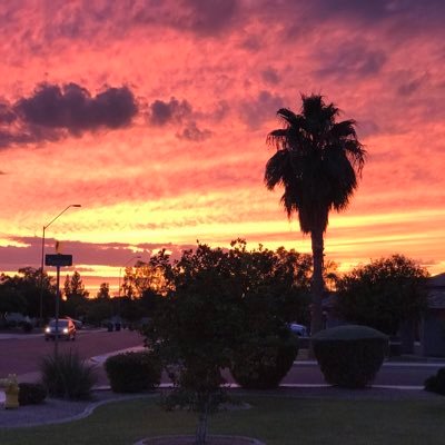 tjscott1670's profile picture. 💥 TRUMP WON 💥