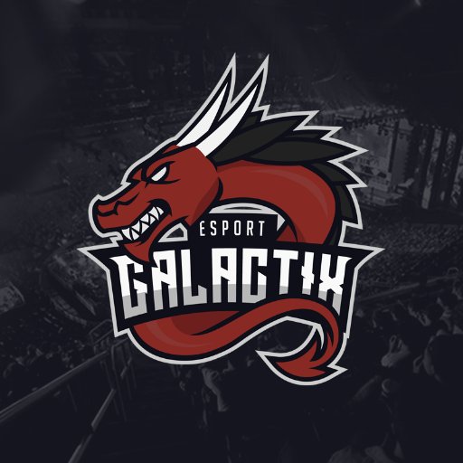 GALACTIX ESPORT Profile