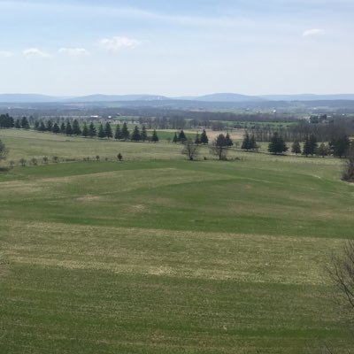 JoeSmit71899704's profile picture. 