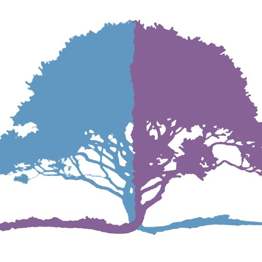An approach to separation, divorce and family law issues which protects the dignity, integrity and long term best interests of your family!