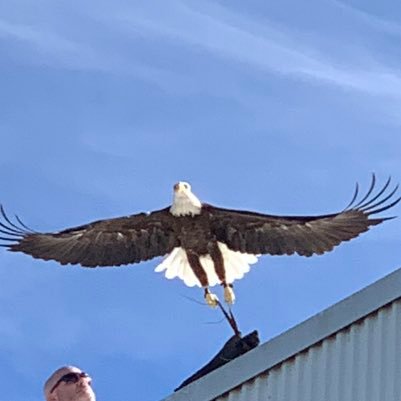 klcdixon1's profile picture. 