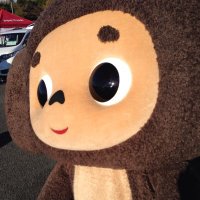 ちぇぶ (37←今年のライブ数) (@mat0820c) 's Twitter Profile