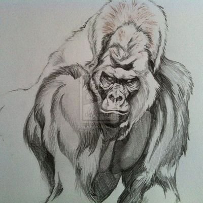 LeonHelland's profile picture. RedTeam enthusiast, Cybersecurity, physical security, Hacker Attacker.. 
PTSD victim of cyberwarfare
*Family first, now what defines family is up to you.