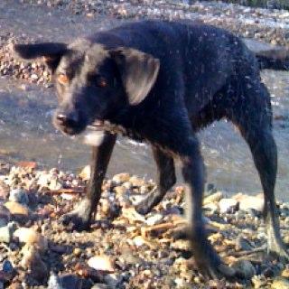 sycmiller's profile picture. I'm into social justice, cooking & eating, trees, the outdoors, tennis, my dog, music, recycling, cycling, and laughing. Often not in that order.