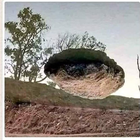 halahala5551's profile picture. 