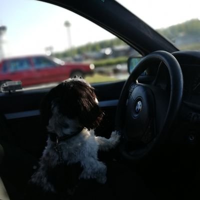 M_Soederlund's profile picture. Alla folks frihet, hela världens fred ✌️