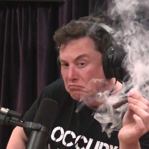 theElontologist's profile picture. 