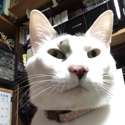 vanzaburou's profile picture. 札幌で生まれて、育って、在住の播三郎です。YouTubeで普段の気になった事をアップしています。N-BOXに乗ってます