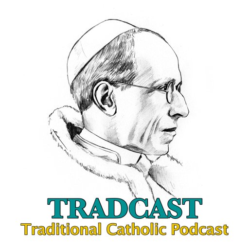 Traditional Roman Catholic Podcast by @NovusOrdoWatch. RTs and follows are not endorsements.