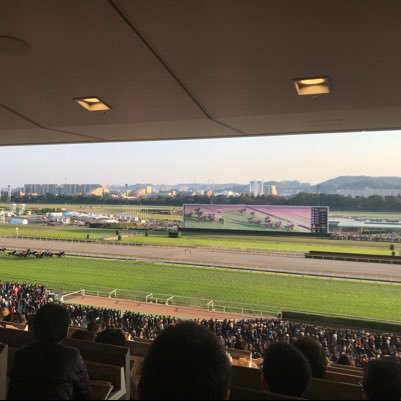 hosekeiba777's profile picture. 競馬に関わる事を呟きます！予想は、自身が買うレースを予想し、呟きます。馬券の回収よりも競馬を楽しむためをメインとしてます。今後色々なコンテツを展開予定！いいね、RTはいくらでもどうぞ！