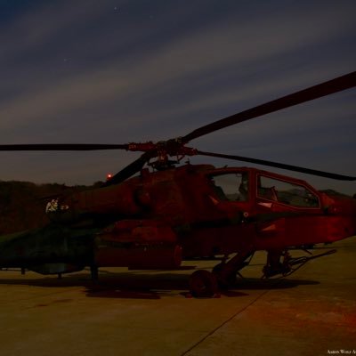 09Wolf_Amacker's profile picture. 