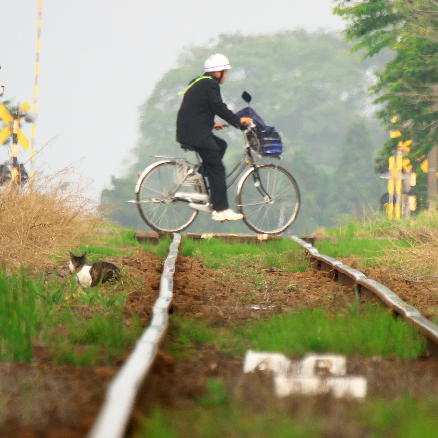 旅と本と写真撮影が好きなお父さん。 南阿蘇鉄道と沿線地域を応援しています。 クローン病治療中。胆嚢・腸・虫垂 切除。