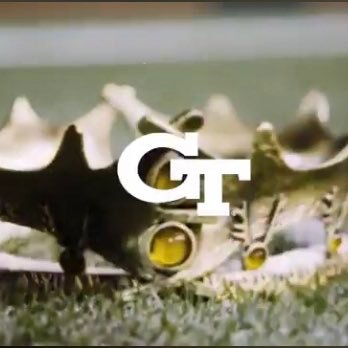 |🏆•🏆•🏆•🏆| Georgia Tech Football    •NOTHING is given-EVERYTHING is earned• Competition is KING 👑 #threestripelife #404takeover #THWG