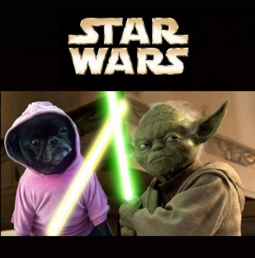 DJSwiggle's profile picture. https://t.co/EvB0H9LW1u