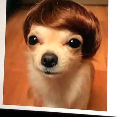 xVISUALxTALENTx's profile picture. 