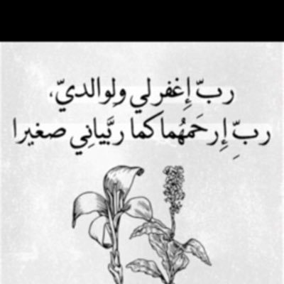 ll6ra1's profile picture. أكلات