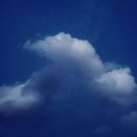 Moozon (@moozon_wei) 's Twitter Profile