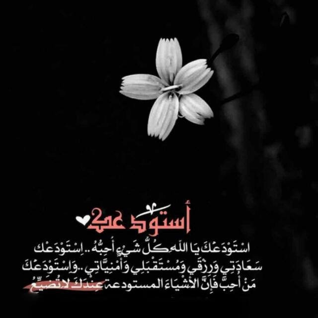 ياليت الأشياء توضح لنا قبل نتعمّق فيها