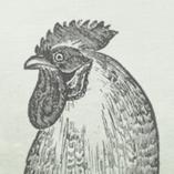 stillwater_tas's profile picture. Focusing on fresh, local produce with a great team who put it together and deliver it.