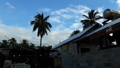 Jasmine83470743's profile picture. Sky lover
Metabolism enthusiast
Aspired world traveler