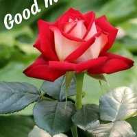 nagaraj (@nagarajround) 's Twitter Profile