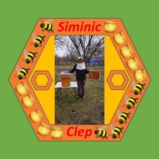 Mă numesc Siminic Clep. YouTuber și apicultor. Pentru mai multe, intrați pe website! I'm Siminic Clep. YouTuber and beekeeper. For more, check the website!