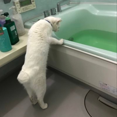 25_renka's profile picture. 高野洸さんを応援中。タイプロからの新規、お勉強中です。しのぴっぴ🤍推し/推し事以外もたくさん零す。独り言多め。節操なしであんまり動いてない本垢(@kisaragi_renka)/25↑