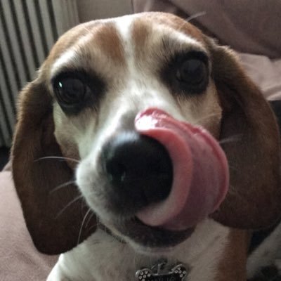 soccerballsfc's profile picture. "Only true champions come out and show their worth after defeat" - Sir Alex Ferguson | “Don’t stop when you’re tired. stop when you’re done.” - David Goggins